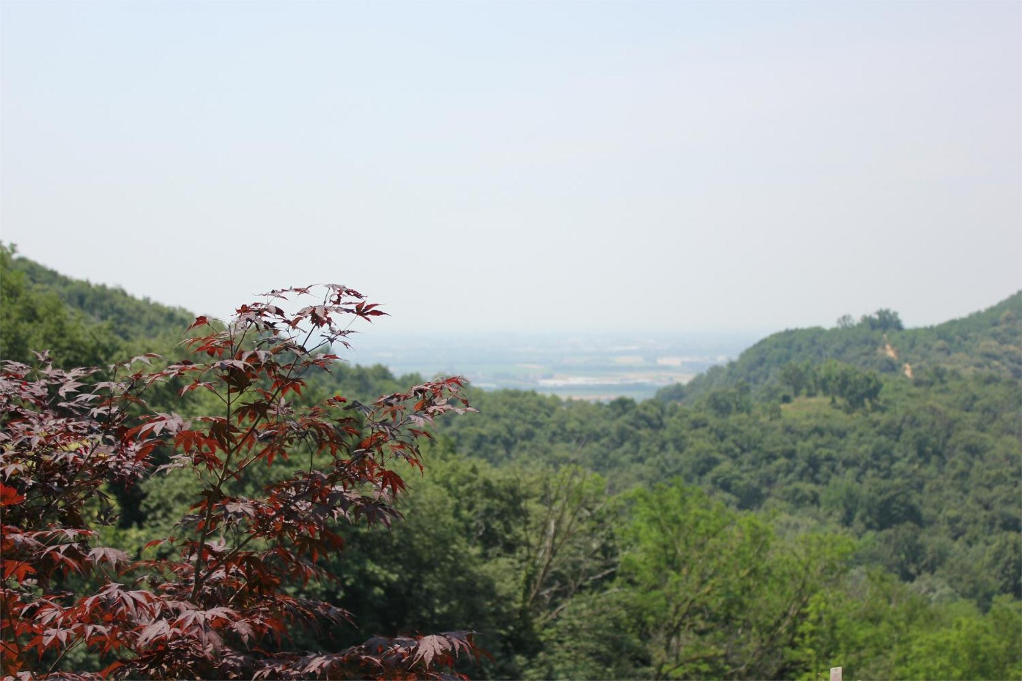 Agriturismo Casa Adea Villa Rodengo-Saiano Kültér fotó